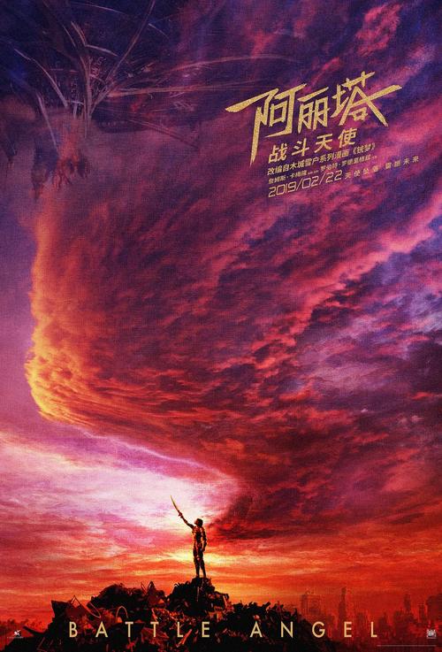 国际驾照有校期